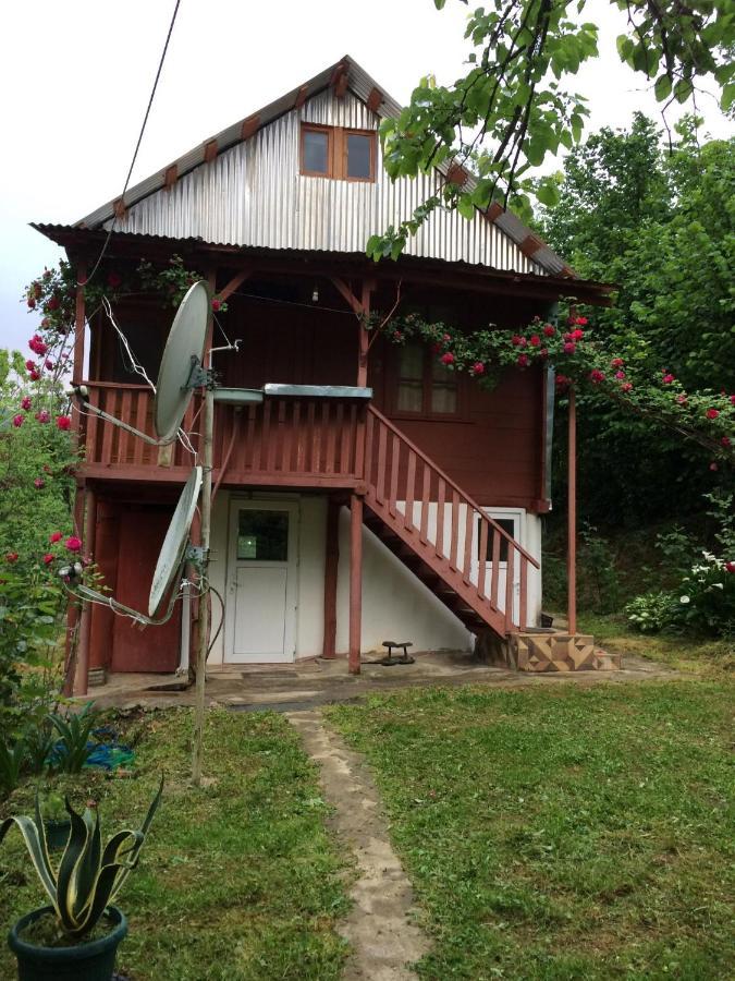 Villa Tengiz Chakvistavi Zewnętrze zdjęcie