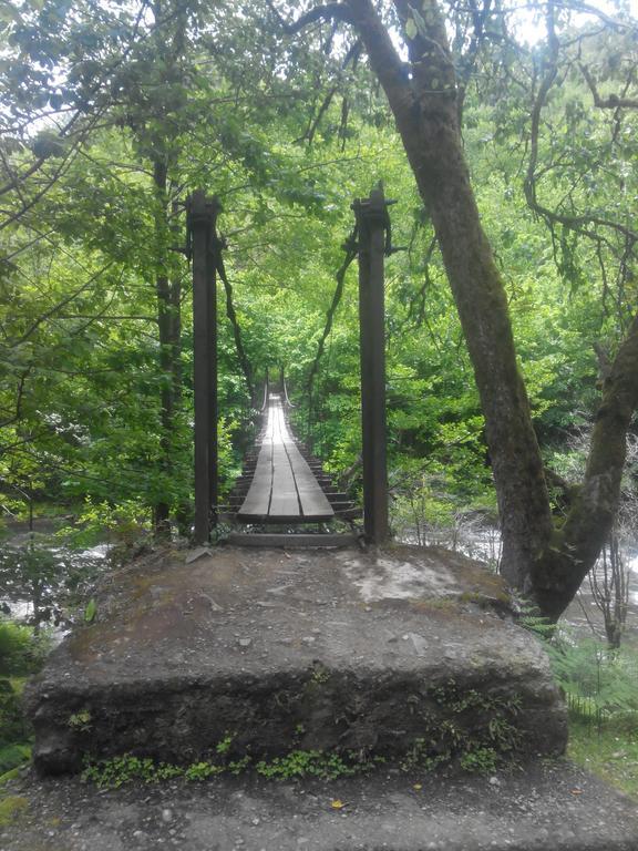 Villa Tengiz Chakvistavi Zewnętrze zdjęcie